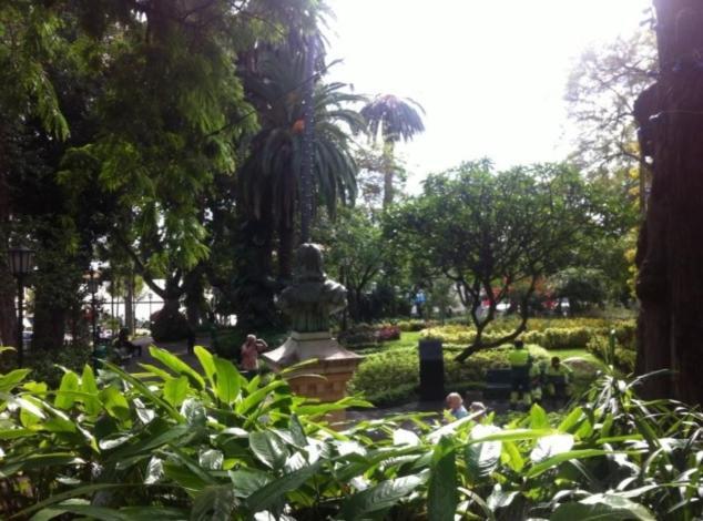 Central Funchal Apartment - Garden - Free Parking & Ac Exteriör bild
